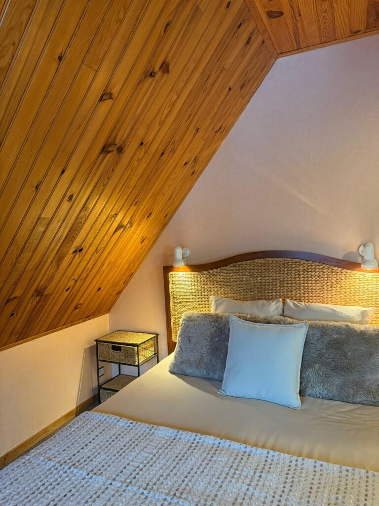 Chambre avec un lit double